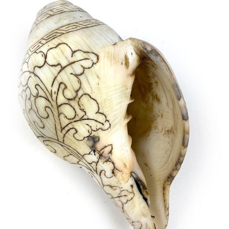 La conque de cérémonie Népal 18cm