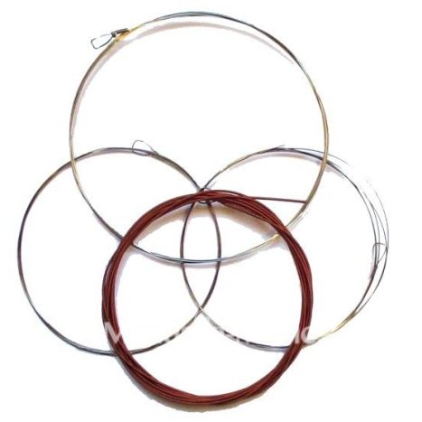 cordes tanpura