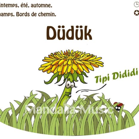 DUDUK : Le pissenlit hautbois (Flutin des bois)