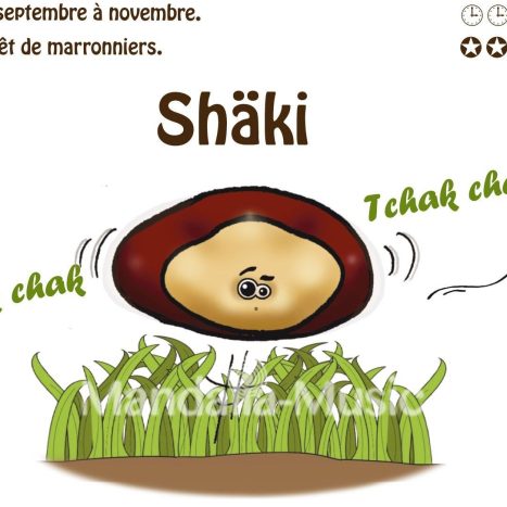 SHAKI : Le marron shaker (Flutin des bois)