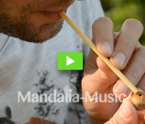 Vidéo des instruments de musique de la nature