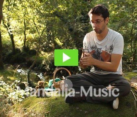 Vidéo des instruments de musique de la nature