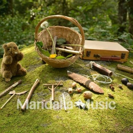 Le guide magique des instruments de la nature (musique verte)