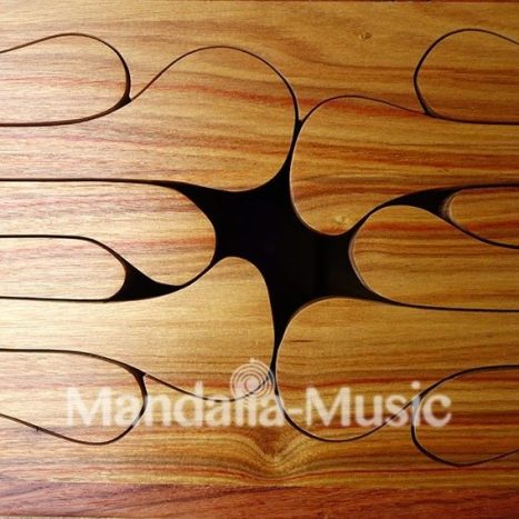 Tongue drum Jumbo Ben Harper