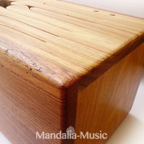 Tongue drum Jumbo Ben Harper