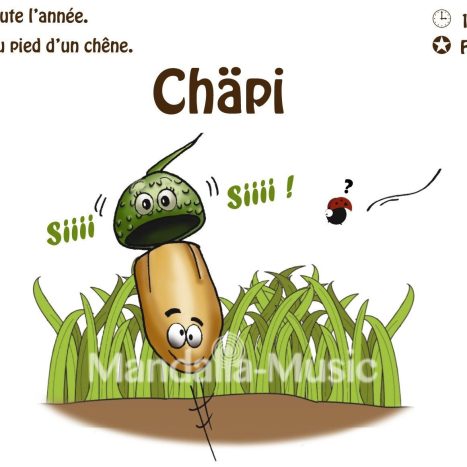 CHAPI : Le gland siffleur (Flutin des bois)