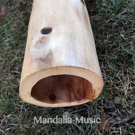 Didgeridoo en bois flotté