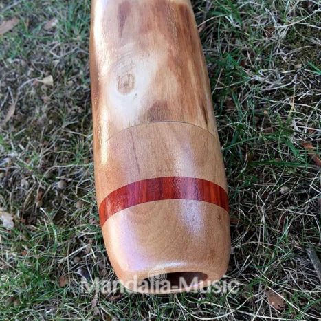 Didgeridoo en bois flotté