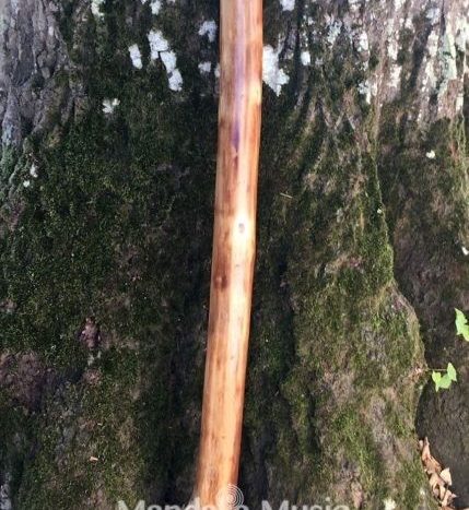 Didgeridoo en bois flotté