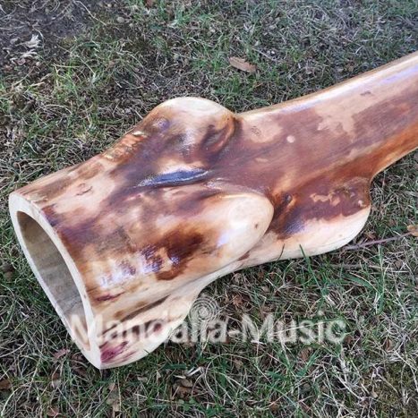 Didgeridoo en bois flotté