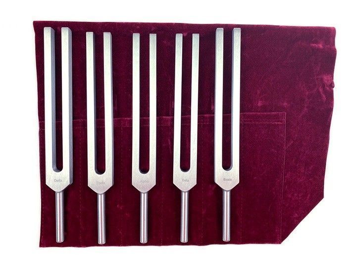 5 Diapasons ondes cérébrales / Brain tuners H.Q (tige 8,8 mm)
