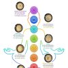 Gong Meinl Chakra gorge / Planet Mercure 32 pouces