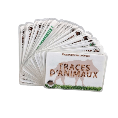Carnet "traces d'animaux"