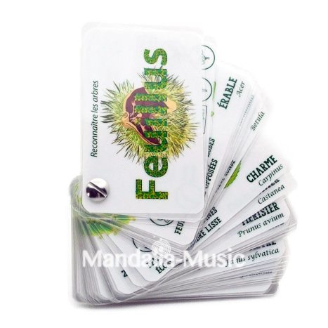 Carnet arbre "feuillus et résineux"