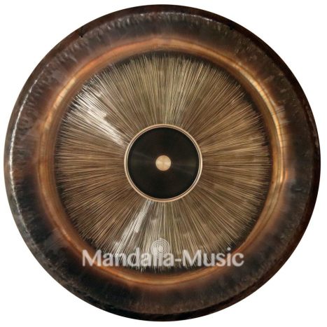 Gong R. Bonneau AJNAEL 96CM (38 p.)