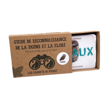 Carnet "les rapaces"