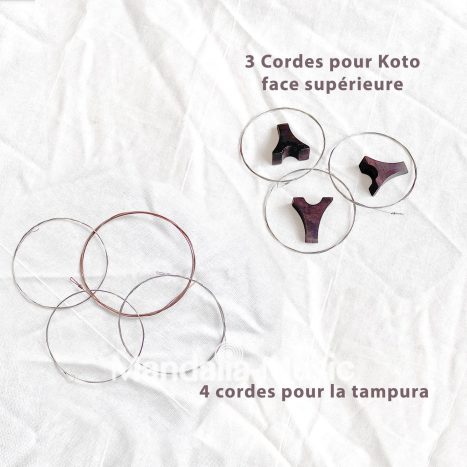 Set de cordes tampura et anantar et svaraveena