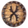 Tambours chamaniques Julien Ribeiro